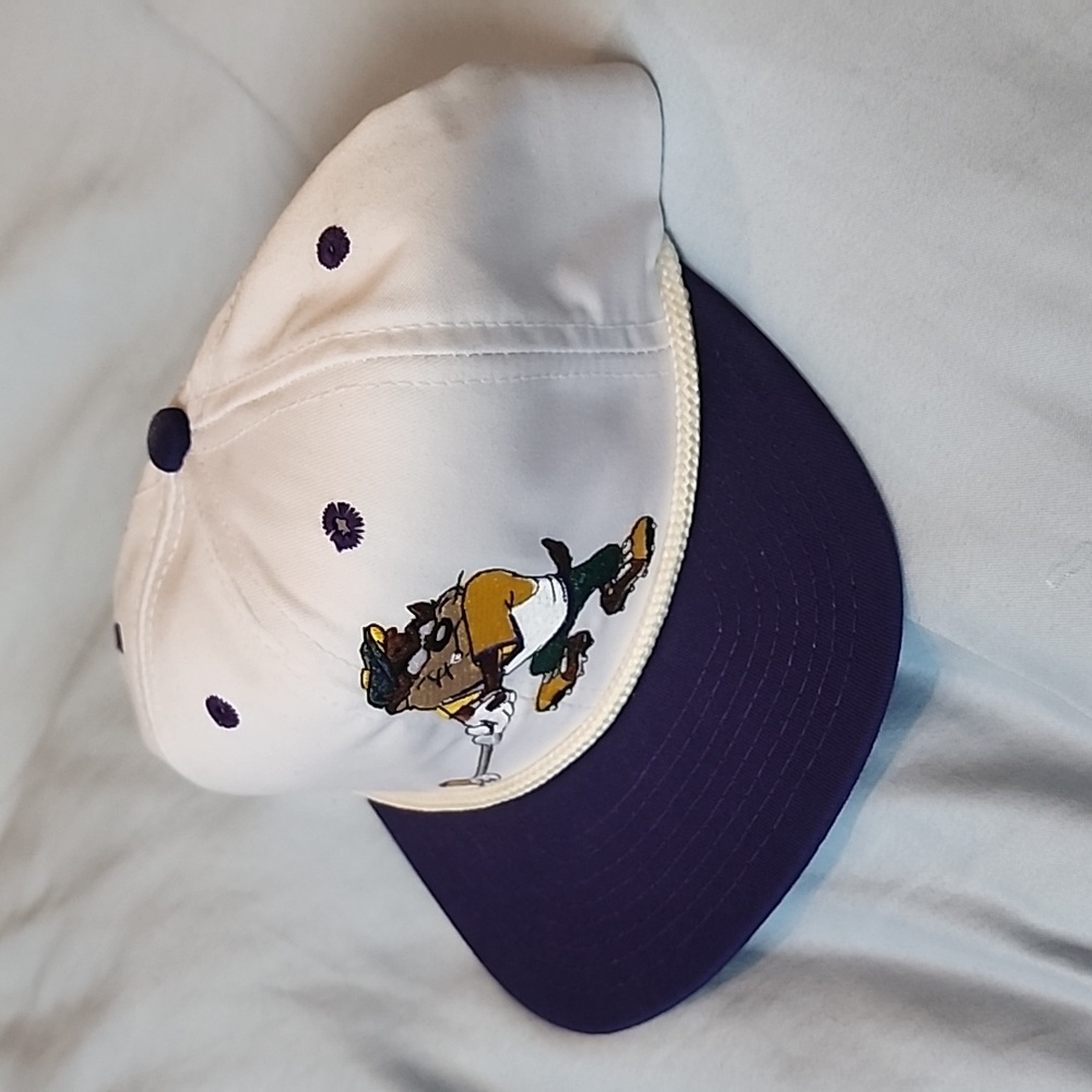 Warner Bros Hat